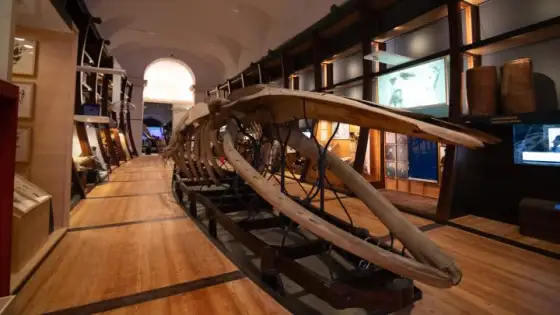 GLI EVENTI DEL MUSEO REGIONALE DI SCIENZE NATURALI DI TORINO
