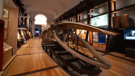 GLI EVENTI DEL MUSEO REGIONALE DI SCIENZE NATURALI DI TORINO