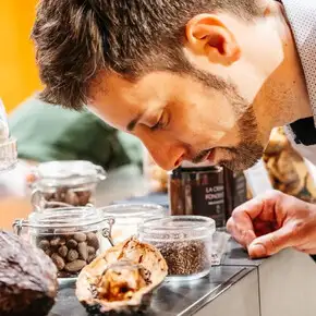 Sulle rotte del cioccolato
