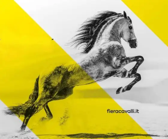 Fieracavalli